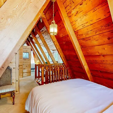 The Regal Bear Villa